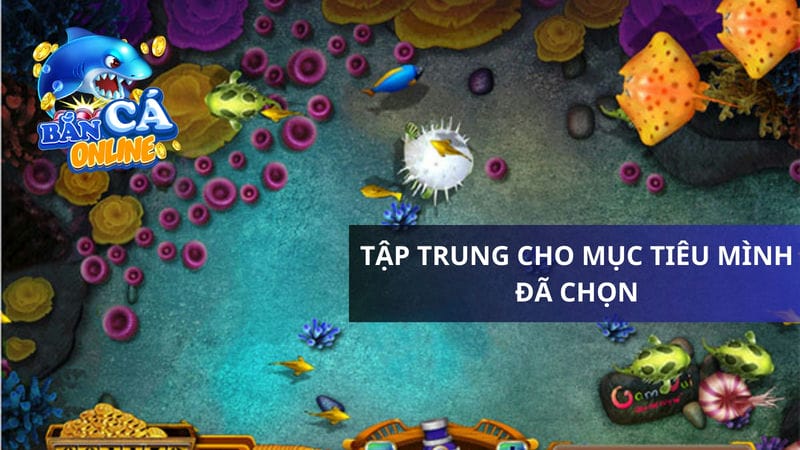 Tập trung cho mục tiêu mình đã chọn